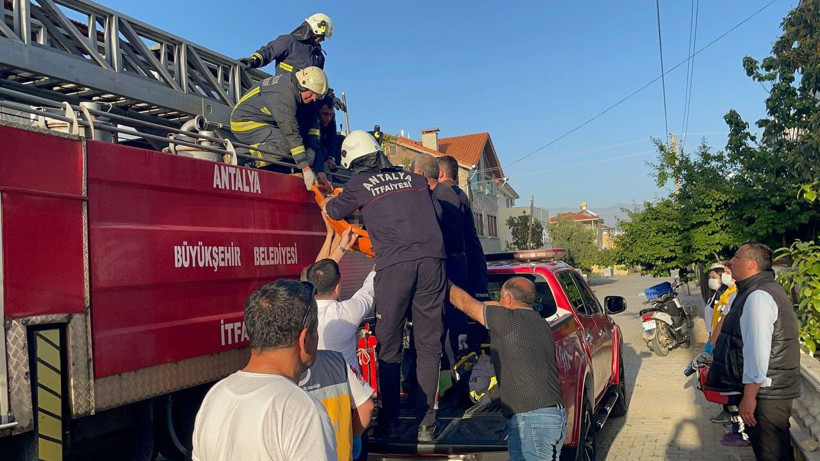 Akıllara durgunluk veren olay! Budamak için çıktı cesedi asılı kaldı - Resim: 1