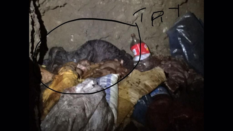 İzmir halkına çürümüş tonlarca at etini yedireceklerdi! 12 bin lira ceza ile kurtuldular - Resim: 2