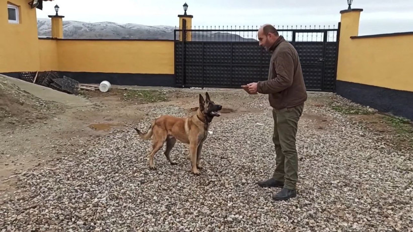 Kırıkkale'de çiftliğini koruması için aldı canını zor kurtardı orta parmağını koparttı - Resim: 3