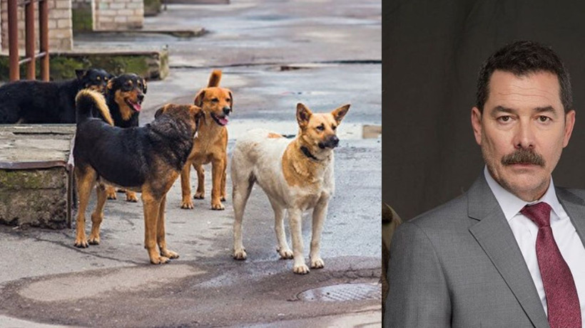 Fikret Kuşkan'ın komşusuyla başı dertte! Öyle bir tehdit savurdu ki... - Resim: 1