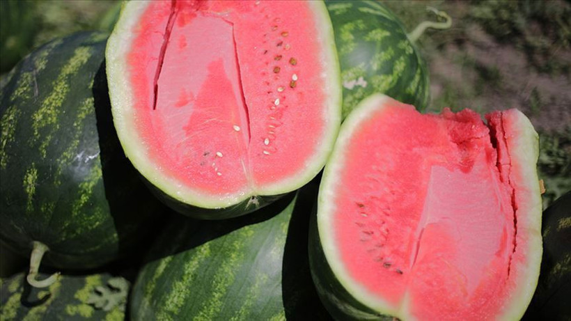 Tüketici Konfederasyonu'ndan 'kelek karpuz' uyarısı! Şikayet edebilirsiniz fiş yoksa bunu yapın - Resim: 1