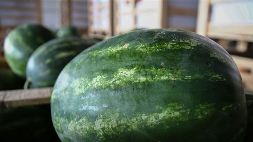 Tüketici Konfederasyonu'ndan 'kelek karpuz' uyarısı! Şikayet edebilirsiniz fiş yoksa bunu yapın - Resim: 3