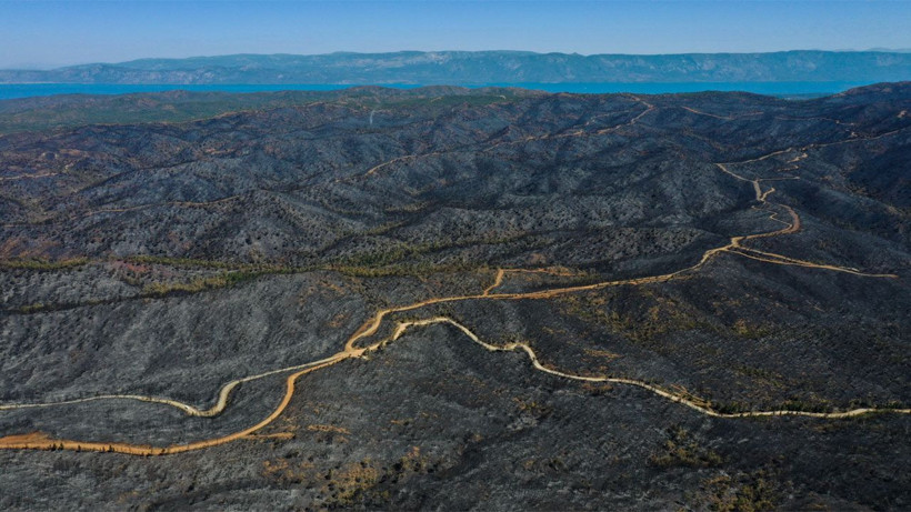 Marmaris'te yanan alanlar havadan görüntülendi! İşte ormanlık alanın gördüğü büyük zarar... - Resim: 1