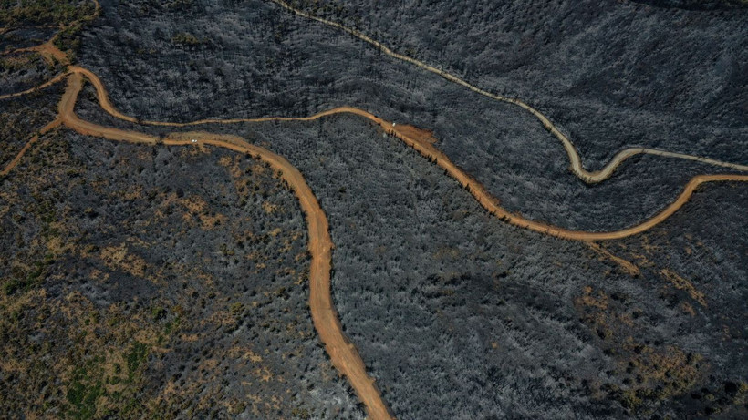 Marmaris'te yanan alanlar havadan görüntülendi! İşte ormanlık alanın gördüğü büyük zarar... - Resim: 3