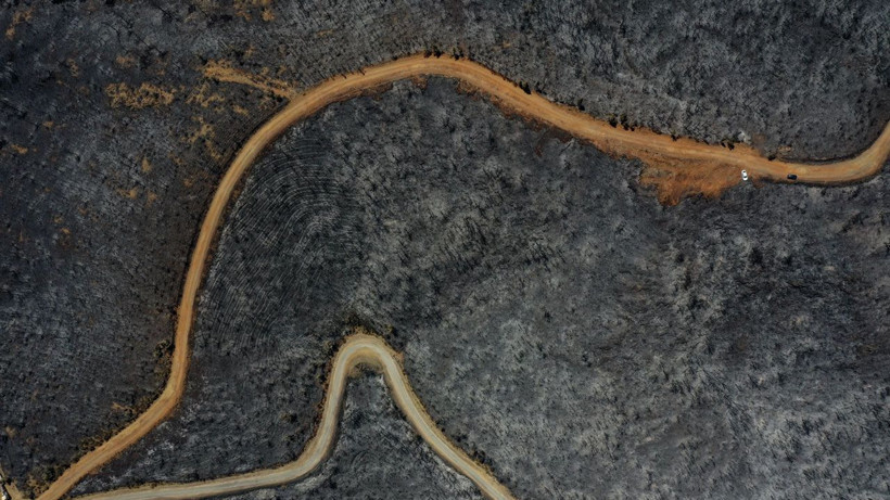 Marmaris'te yanan alanlar havadan görüntülendi! İşte ormanlık alanın gördüğü büyük zarar... - Resim: 2