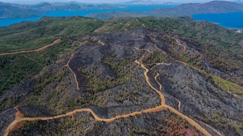 Marmaris'te yanan alanlar havadan görüntülendi! İşte ormanlık alanın gördüğü büyük zarar... - Resim: 4