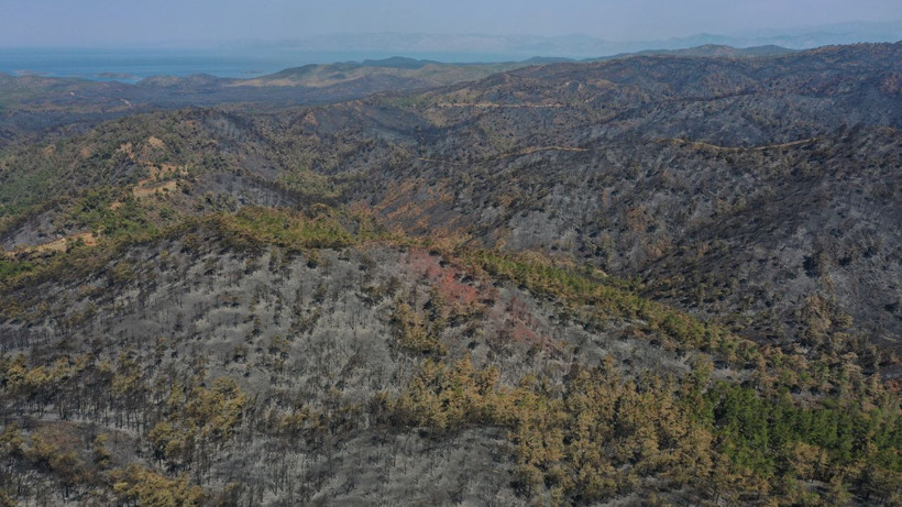 Marmaris orman yangınında son durum iç acıtan kareler drone ile çekildi - Resim: 2