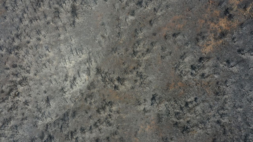 Marmaris orman yangınında son durum iç acıtan kareler drone ile çekildi - Resim: 1