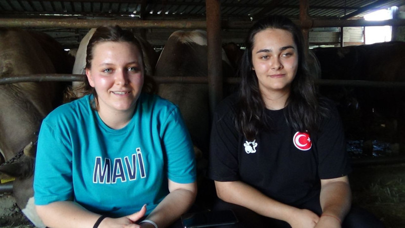 Kurbanlık almaya gelenler şaşırıyor! İki kız kardeş baba mesleği hayvancılığı devam ettiriyor - Resim: 4