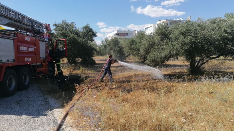 Paraşüt keyfi faciayla sonlandı! Kopan elektrik telleri zeytin bahçesini yaktı - Resim: 2