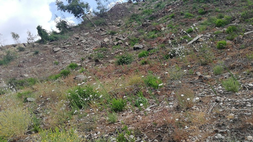 İnek ölüsü ihbarı üzerine gelen ekipler cesetle karşılaştı! - Resim: 4