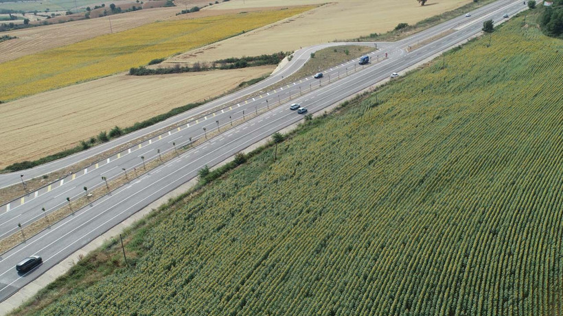 Yağ krizinin umudu ayçiçek tarlalarını çayır zararlısı sardı! - Resim: 2