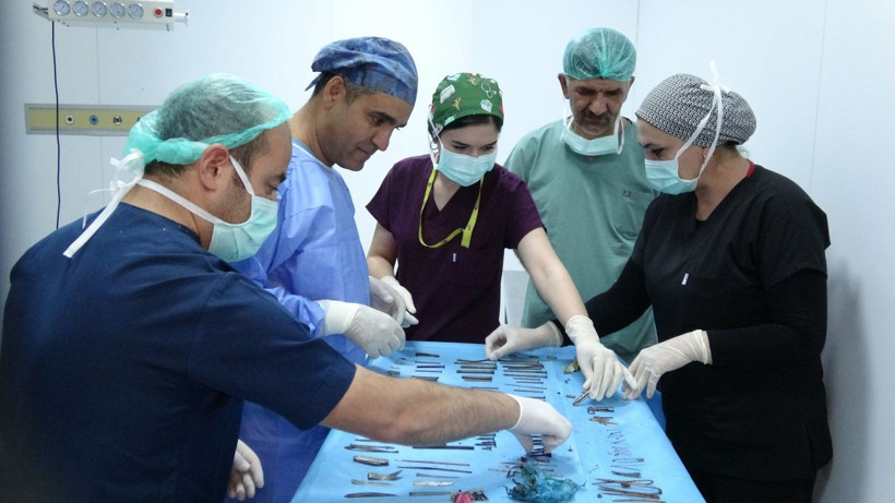 Hepsini yutmuş! Van'da genç kadının midesinden çıktı herkes şaşkın - Resim: 1