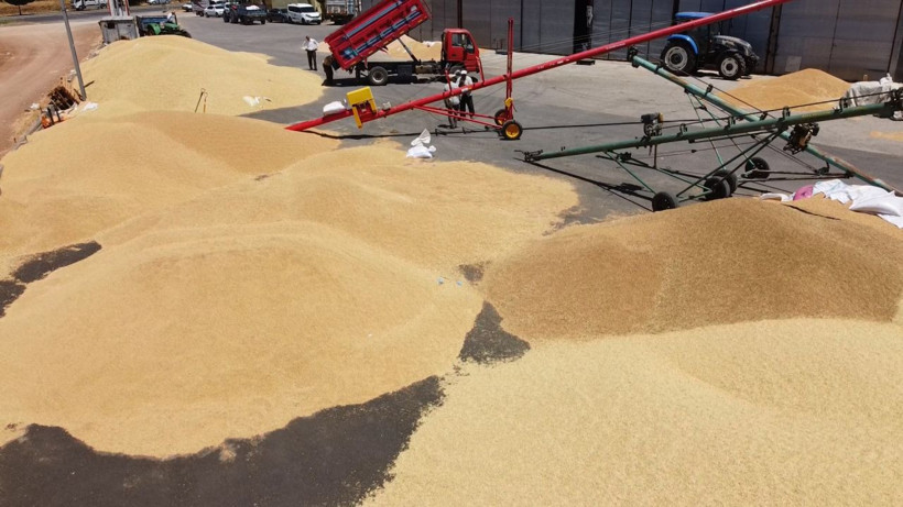 Türkiye buğdayını alıp çürümeye mi bırakıyorlar? Ortalığı karıştıran bomba iddia - Resim: 4