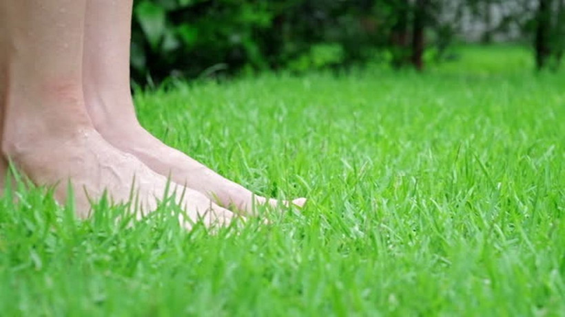 Hemen ayakkabıları çıkarıp çıplak ayakla çimlere basın! İnanılmaz faydaları var - Resim: 1