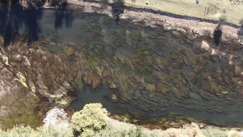 Kızılırmak nehrinden su içen 5'i çocuk 14 kişi zehirlendi - Resim: 4