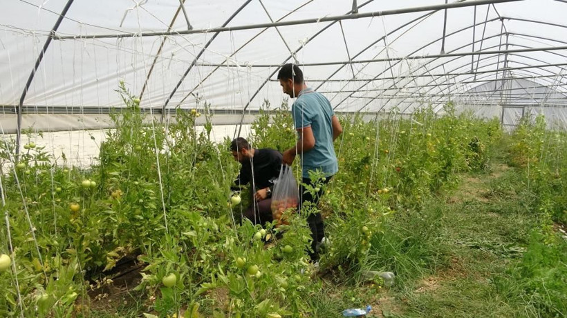 Hakkari'de serasında öyle bir şey yapıyor ki 10 yıl oldu herkes almaya geliyor - Resim: 4