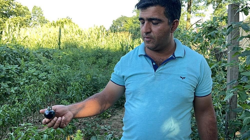 Meksikalı arkadaşından ilham alıp Düzce'de ekti kanserin baş düşmanı deniyor - Resim: 1