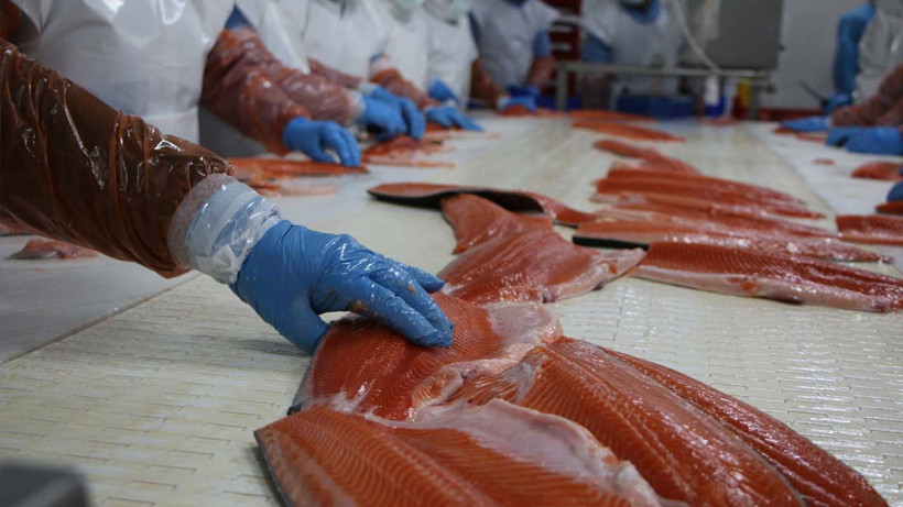 Denizi olmayan Elazığ'a bravo! Alabalık üretiminde ihracat gelirine bakın - Resim: 2