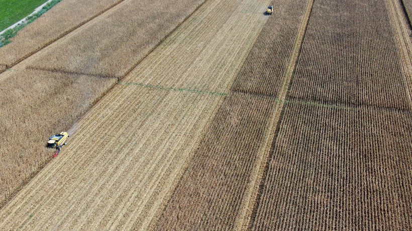 Türkiye'de ilk defa denendi kimse bunu beklemiyordu! Adana'da sonuçlar şaşırttı - Resim: 1