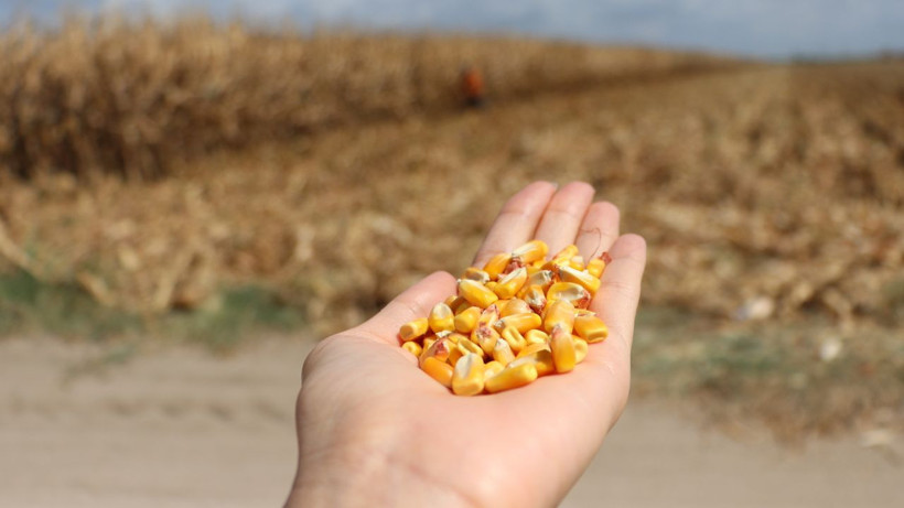 Türkiye'de ilk defa denendi kimse bunu beklemiyordu! Adana'da sonuçlar şaşırttı - Resim: 3