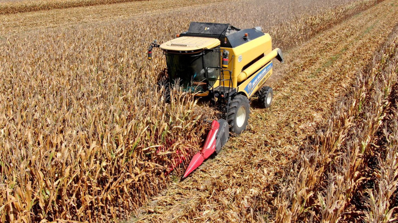 Türkiye'de ilk defa denendi kimse bunu beklemiyordu! Adana'da sonuçlar şaşırttı - Resim: 2
