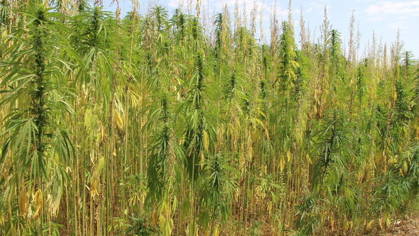 Ağlatıyordu Amasya'da yeniden dirildi! Vali geçmişi duyunca etkilendi dev yatırım - Resim: 2