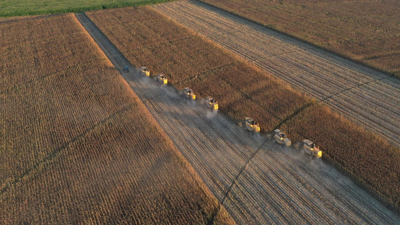 Dünyanın en büyüğü üstelik Türkiye'de herkesin ilk aklına gelen şey çok belli - Resim: 4