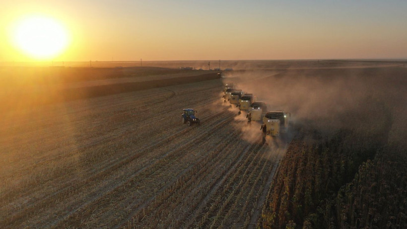 Dünyanın en büyüğü üstelik Türkiye'de herkesin ilk aklına gelen şey çok belli - Resim: 2