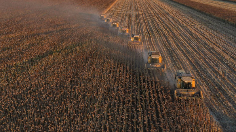 Dünyanın en büyüğü üstelik Türkiye'de herkesin ilk aklına gelen şey çok belli - Resim: 3