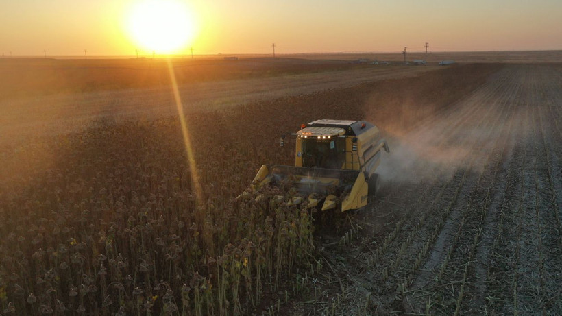 Dünyanın en büyüğü üstelik Türkiye'de herkesin ilk aklına gelen şey çok belli - Resim: 1