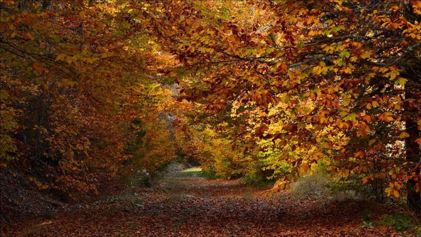 Hafta sonu havası hem kavuracak hem donduracak! Meteoroloji uzmanı söyledi: Kısa kollu ile çıkan akşam hasta dönebilir - Resim: 3