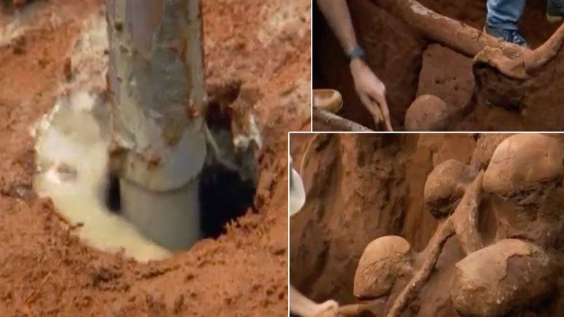 Karınca yuvasının içi görüntülendi otoban bile var! Ağzınız açık kalacak sanki mimar yapmış - Resim: 2