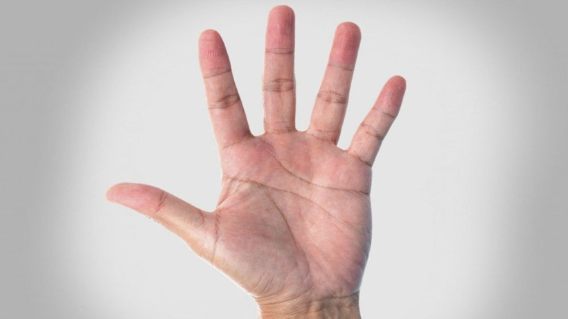 Hemen avucunuzun içine bakın! Eğer o çizgi elinizin ortasındaysa... - Resim: 4