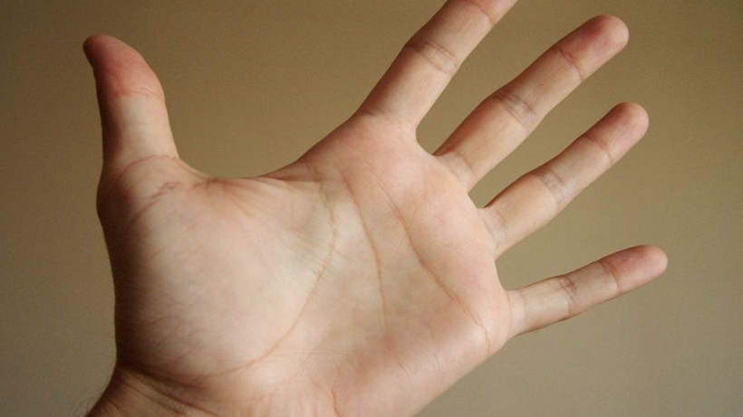 Hemen avucunuzun içine bakın! Eğer o çizgi elinizin ortasındaysa... - Resim: 2