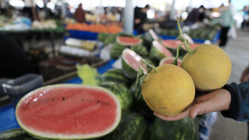 Çok zekiyim diyenler buyrun! Resimde kaç karpuz var kimse ilk tahminde bilemedi - Resim: 2