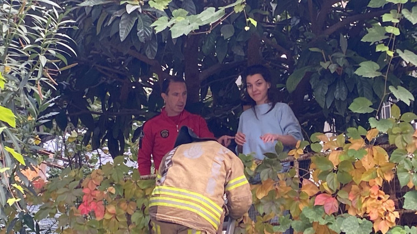 Olay yeri Beşiktaş!Kedisini kurtarmak isterken ağaçta mahsur kaldı - Resim: 3