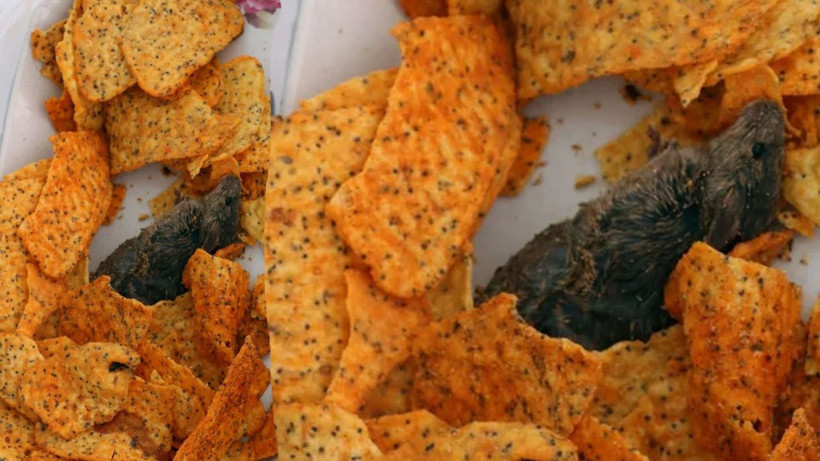 Cipsin içinden ölü fare çıktı kusanlar oldu! BİM'den fare açıklaması geldi - Resim: 4