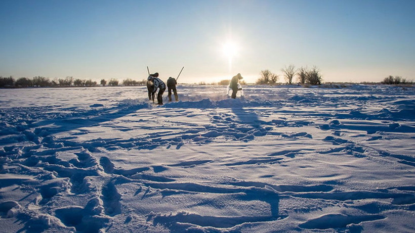 Sibirya'da zombi virüs bulundu 48 bin 500 yaşındaki virüs canlandı Covid'i aratacak salgın... - Resim: 1