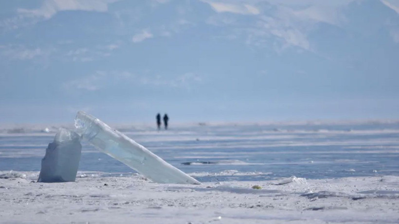 Sibirya'da zombi virüs bulundu 48 bin 500 yaşındaki virüs canlandı Covid'i aratacak salgın... - Resim: 3