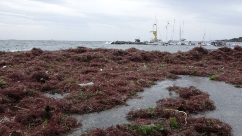 İstanbul'u lodos vurdu! Kadıköy'deki görüntü şoke etti her yeri kapladı - Resim: 1