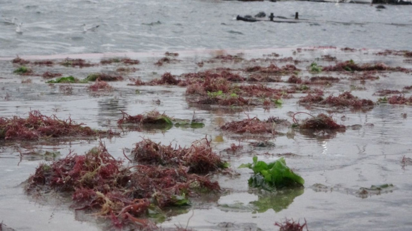 İstanbul'u lodos vurdu! Kadıköy'deki görüntü şoke etti her yeri kapladı - Resim: 2