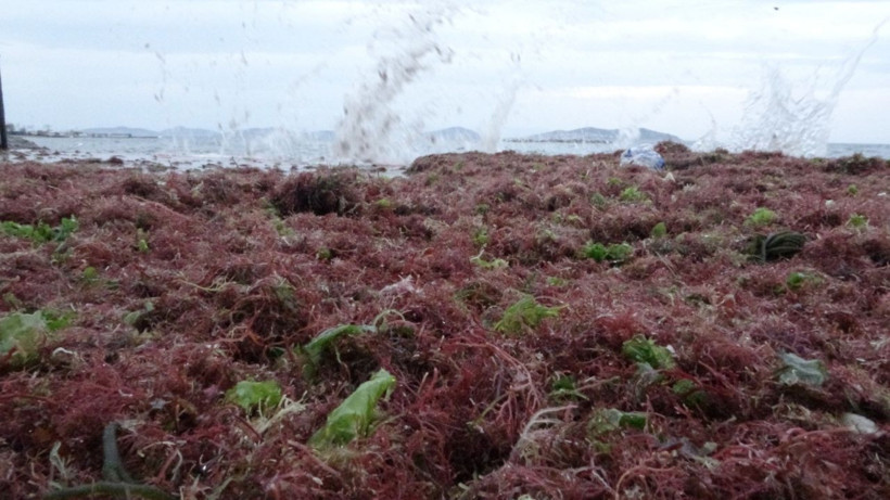 İstanbul'u lodos vurdu! Kadıköy'deki görüntü şoke etti her yeri kapladı - Resim: 3