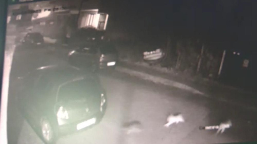 Kocaeli'deki patlamanın görüntüleri ortaya çıktı! Binanın üçüncü katı adeta yok oldu o anlar kamerada - Resim: 2