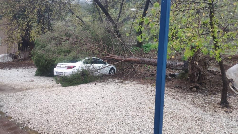 Muğla'da fırtına yıktı geçti! Görüntüler çok fena otomobiller ağaçların altına kaldı zarar büyük - Resim: 3