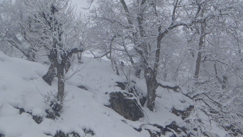 Fena bastırdı kar kalınlığı 1 metreye yaklaştı! Onlarca yere ulaşım sağlanamıyor - Resim: 1