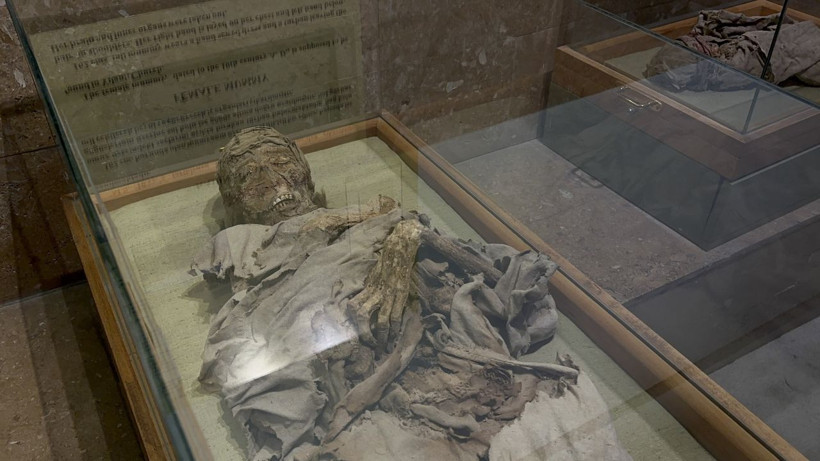 21 yaşında ölen 'Sarışın Rahibe'yi görenler şaşırdı! Bin yıllık mumyalar herkesin ilgisini çekti - Resim: 4