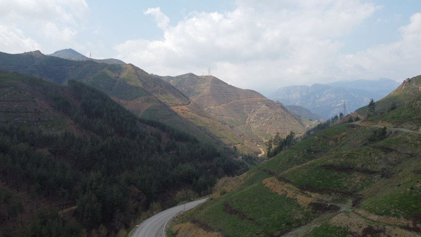 Yanan ormanlık alanda fışkırdı köylüler her yerde onu arıyor çünkü altın değerinde - Resim: 1