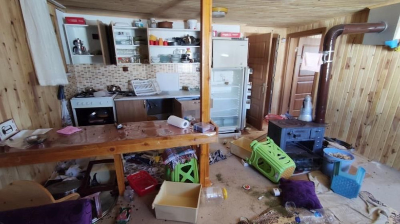 Dev ayı ve arkadaşı tilki yaylada girilmedik ev bırakmadı - Resim: 1