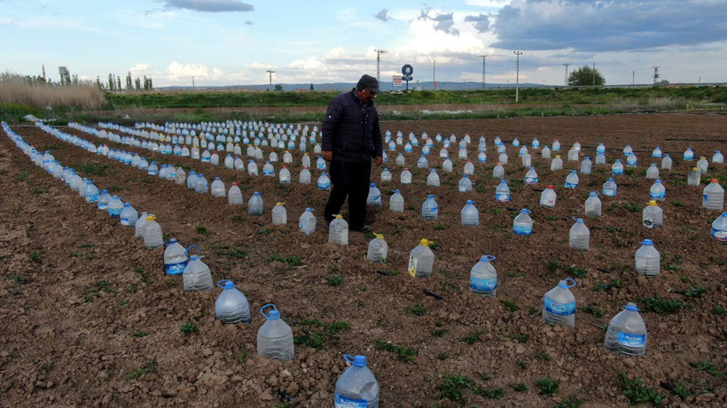 Pet şişeden sera gibi! Domates fidelerini korumak isteyen çiftçiden sıra dışı çözüm - Resim: 4